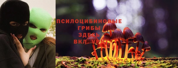 ECSTASY Алексеевка