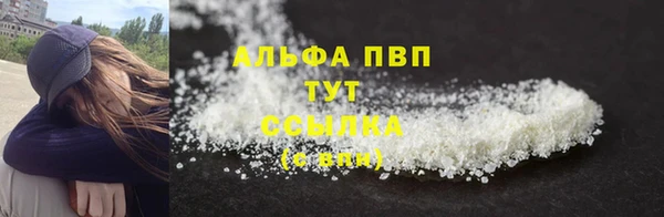 СК Абинск