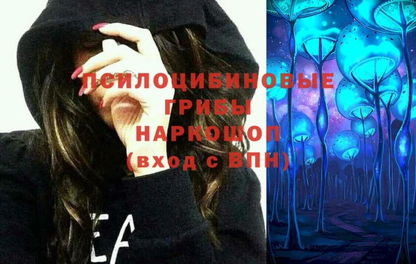 дживик Алексин