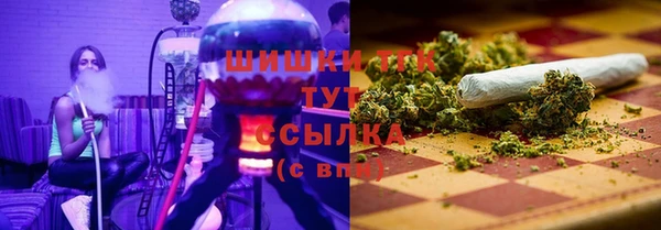 СК Абинск