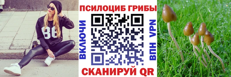 что такое наркотик  Пучеж  Галлюциногенные грибы мицелий 